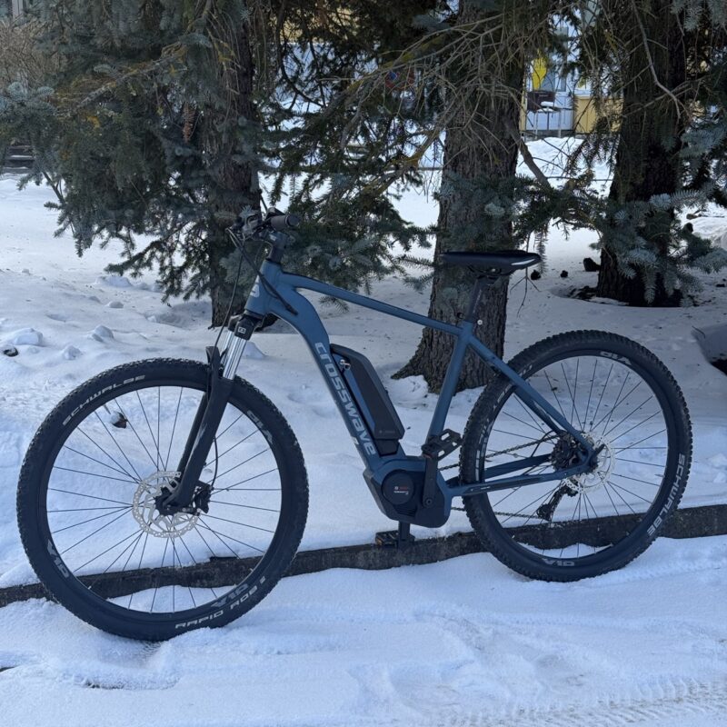 Crosswave Rock 2.9 29' e-mountain bike (hardtail) petrol